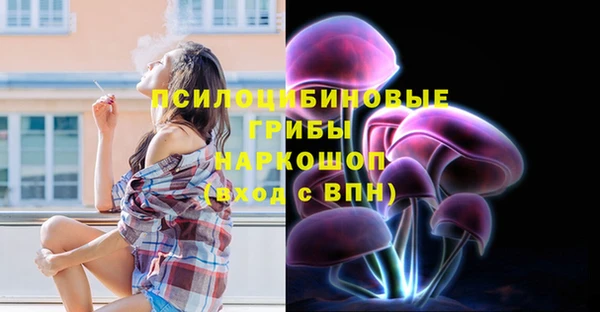 твердый Белокуриха