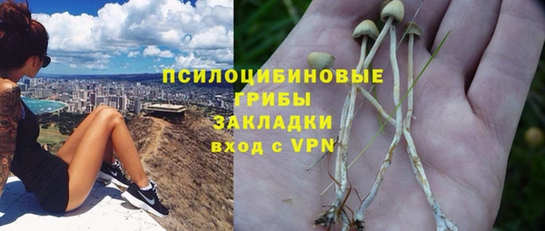 твердый Белокуриха
